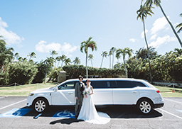 カジュアルプラン