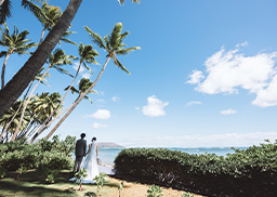 プレミアムプラン