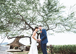 スタンダードプラン