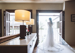 プレミアムプラン