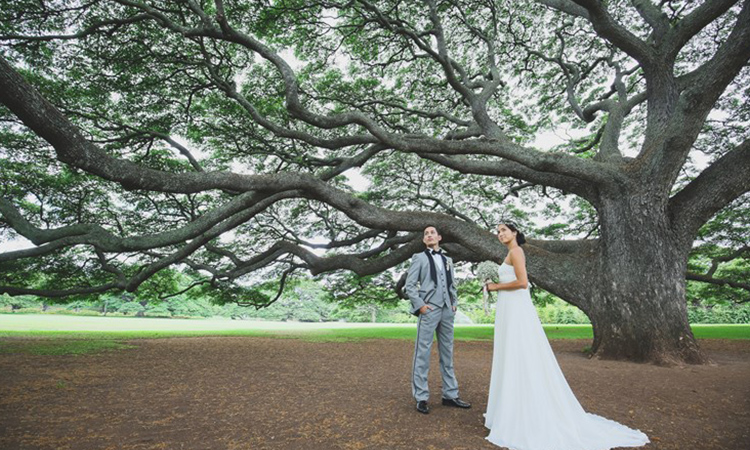 モアナルア・ガーデンフォトプラン|ハワイ結婚式・フォトウェディング