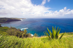 ハワイ島の魅力 ハワイで結婚式 ウェディングするならロイヤルカイラ