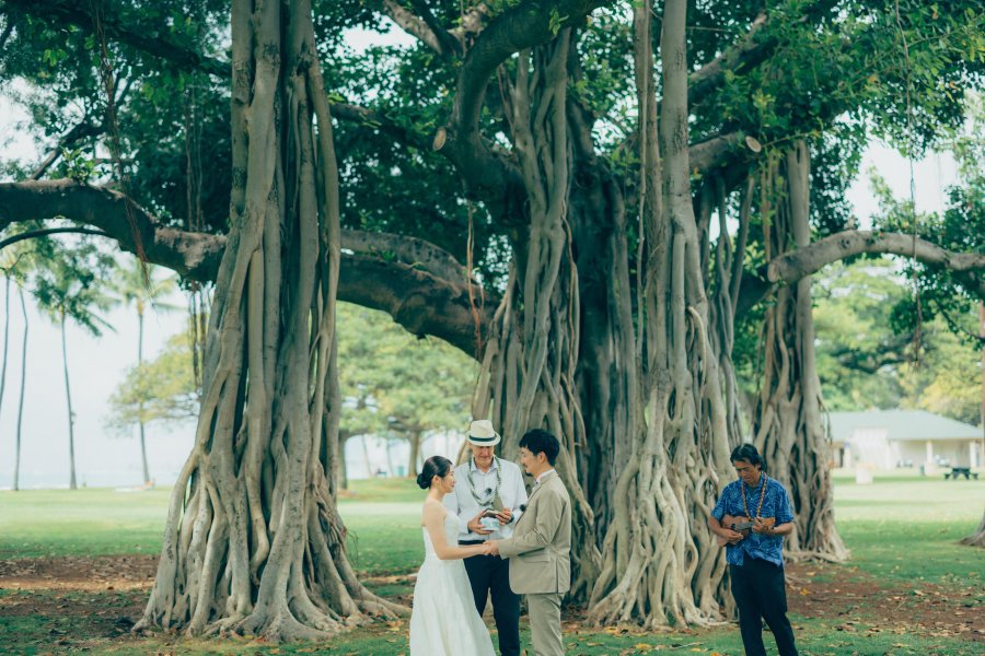 ハワイ結婚式・フォトウェディング&前撮り|ロイヤルカイラ ハワイ結婚式・フォトウェディング&前撮り|ロイヤルカイラ